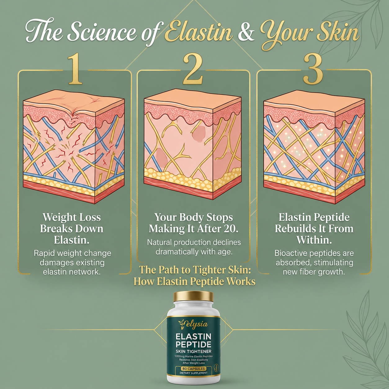 Elastin Peptide Skin Tightening Formula